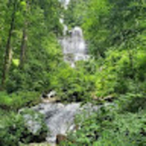 Meet your Posher, Katrina nunez